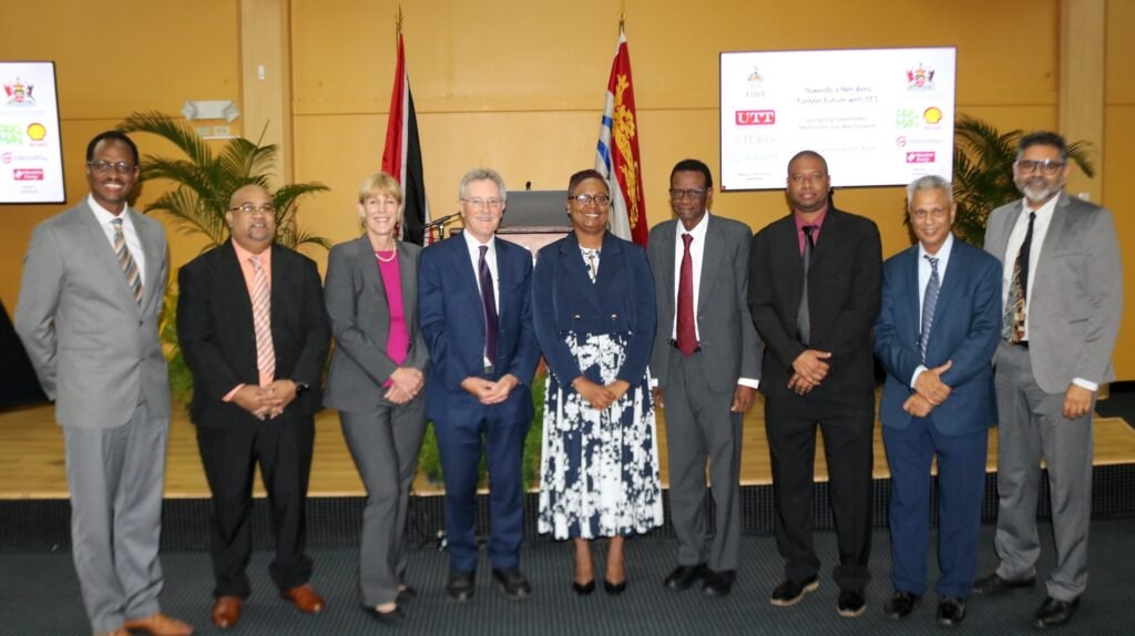 towards a net zero carbon future with ccs synergising stakeholders, milestones and way forward